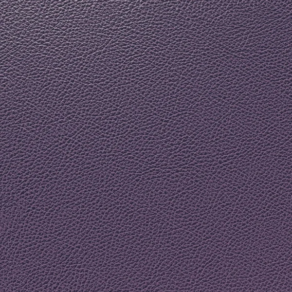 Natuurlijke lederen ondergrond, fijne korrelige nauwe textuur, paarse kleur. 3D-weergave — Stockfoto