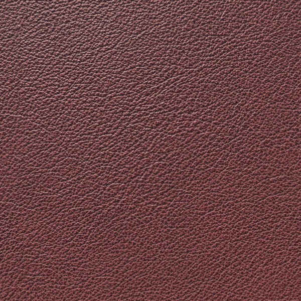 Natural leather background, fine-grained pebble skin texture, red-brown color. 3D-rendering — Stock Photo, Image