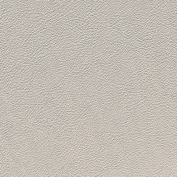 White smooth nappa leather surface, natural leather background close. 3D-rendering — Stock Photo, Image
