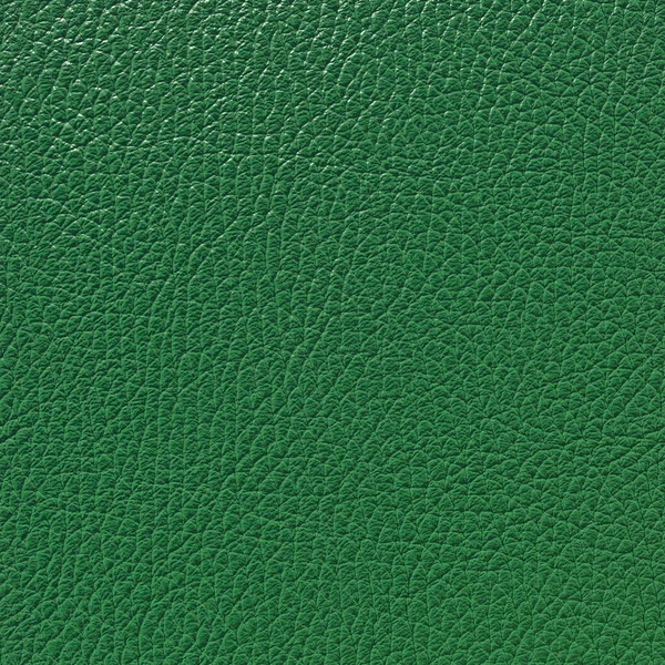 Texture granulosa di pelle taurillon verde primo piano. Utile come sfondo per il lavoro di progetto. Rendering 3D — Foto Stock