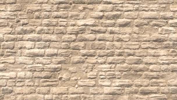 사막 석회석 벽돌 벽, 고르지 못한 노란 벽돌 벽, 배경 질감. 3D 렌더링 — 비디오