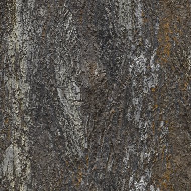 Ceviz kabuğu daha yakından inceleniyor. Yosun kaplı eski bir ağacın kabuğunun dokusu. Büyük bir ağacın eski kabuğundan yapılmış desenli arka plan. 3 Boyutlu Hazırlama.