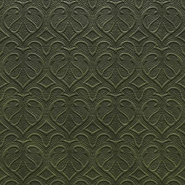 Präglad av buffelskinn. Mönstret på huden. Texturerad bakgrund från närbild fotografering av grönt läder för ditt arbete. 3D-rendering — Stockfoto