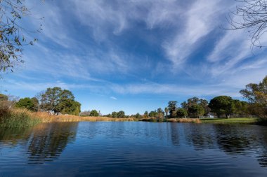 Travis Hava Üssü 'ndeki Duck Pond, Kaliforniya, 29 Kasım 2024. Travis Hava Üssü 'ndeki 