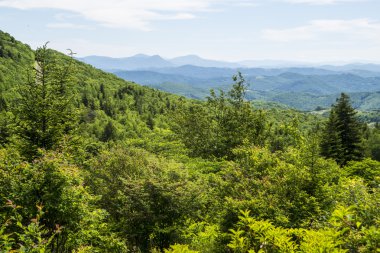 Mountain view Grayson Highlands Park.