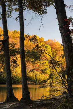 Sis, Batı Virginia 'da sonbahar mevsiminde suyun tepesinde asılı durur.. 