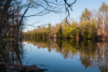 Muhteşem Göl Manzaralı Kanada