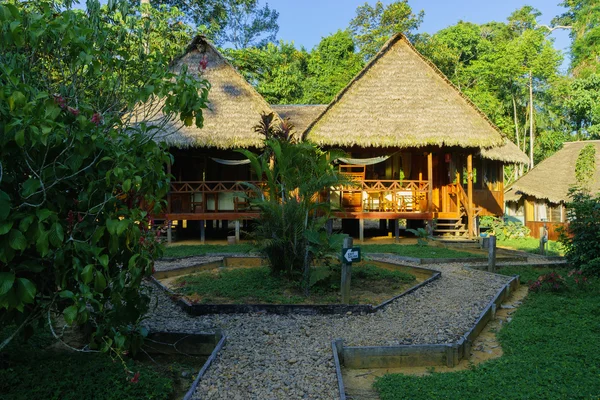 House in the jungle — Stock Photo, Image