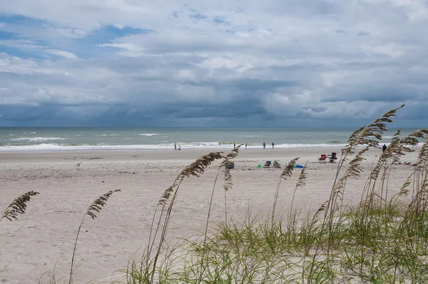 Beach View with the grass — Stock Photo, Image