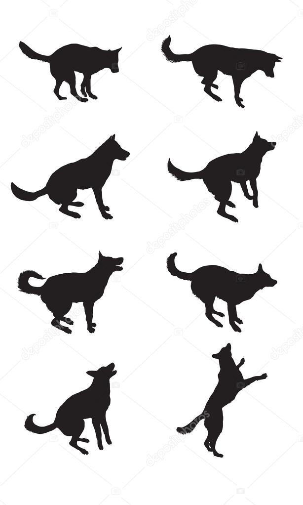 Black silhouettes of shepherd dog in different poses