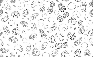  Elle çizilmiş çeşitli fındık ve tohumlar. Bademli doku, fındık, ceviz, fıstık, fıstık, fıstık. Sosyal medyada ambalaj kağıdı, dergi, kart veya başka tasarım, iç dekorasyon, dükkan dekorasyonu olarak kullanılabilir.