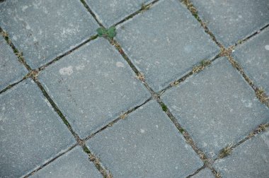 Gri döşeme döşeme dokusu veya arkaplanı