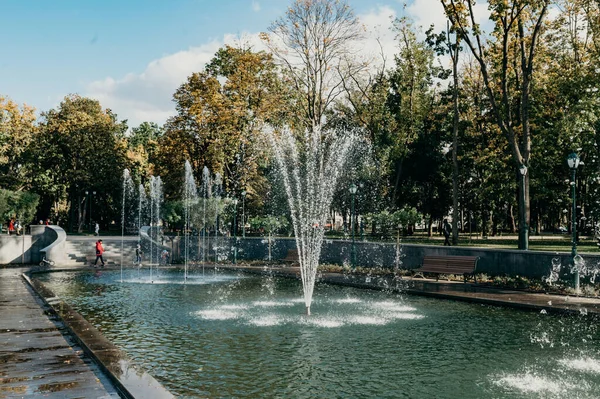 KHARKIV, UKRAINE - 20 Ekim 2020: Kharkov 'daki Taras Shevchenko Bahçesindeki Çeşme.