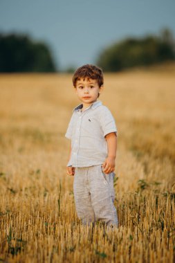 Yazın batan güneşin sıcacık ışınlarında tarlada oynayan duygusal küçük sevimli çocuk. Çocukluk kavramı.