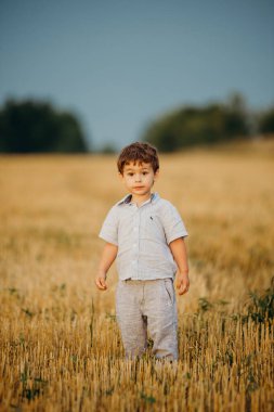 Yazın batan güneşin sıcacık ışınlarında tarlada oynayan duygusal küçük sevimli çocuk. Çocukluk kavramı.