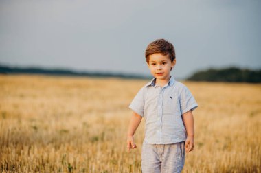 Yazın batan güneşin sıcacık ışınlarında tarlada oynayan duygusal küçük sevimli çocuk. Çocukluk kavramı.