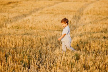 Yazın batan güneşin sıcacık ışınlarında tarlada oynayan duygusal küçük sevimli çocuk. Çocukluk kavramı.