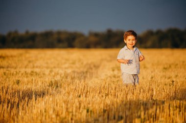 Yazın batan güneşin sıcacık ışınlarında tarlada oynayan duygusal küçük sevimli çocuk. Çocukluk kavramı.