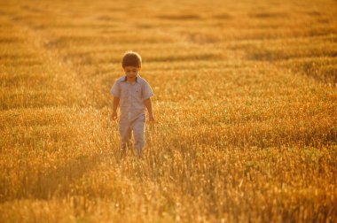 Yazın batan güneşin sıcacık ışınlarında tarlada oynayan duygusal küçük sevimli çocuk. Çocukluk kavramı.