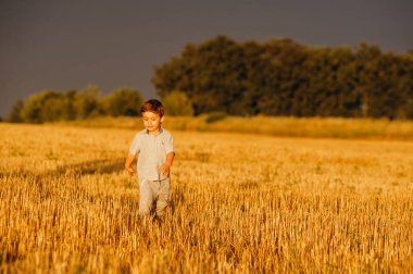 Yazın batan güneşin sıcacık ışınlarında tarlada oynayan duygusal küçük sevimli çocuk. Çocukluk kavramı.