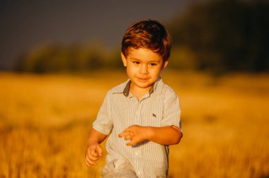 Yazın batan güneşin sıcacık ışınlarında tarlada oynayan duygusal küçük sevimli çocuk. Çocukluk kavramı.
