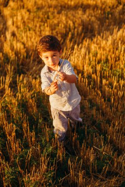 Yazın batan güneşin sıcacık ışınlarında tarlada oynayan duygusal küçük sevimli çocuk. Çocukluk kavramı.
