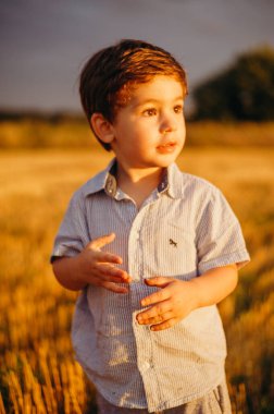 Yazın batan güneşin sıcacık ışınlarında tarlada oynayan duygusal küçük sevimli çocuk. Çocukluk kavramı.