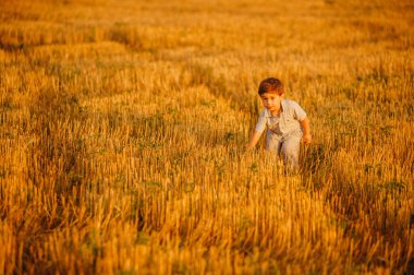 Yazın batan güneşin sıcacık ışınlarında tarlada oynayan duygusal küçük sevimli çocuk. Çocukluk kavramı.