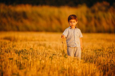 Yazın batan güneşin sıcacık ışınlarında tarlada oynayan duygusal küçük sevimli çocuk. Çocukluk kavramı.