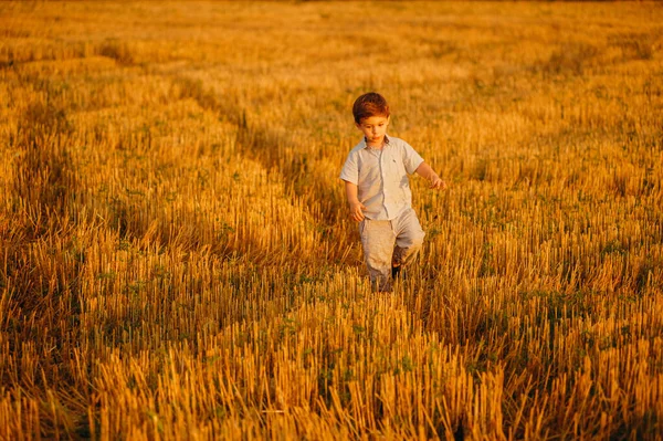 Emotional Little Adorable Boy Playing Field Warm Rays Setting Sun — Stock Photo, Image