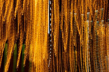 Dijital ışıkların hızı. Parlak turuncu neon bir yörünge boyunca hızla hareket eden ışık akışları. Flaşlı hızlı enerji dalgaları. Siyah arkaplanda girdap izi.