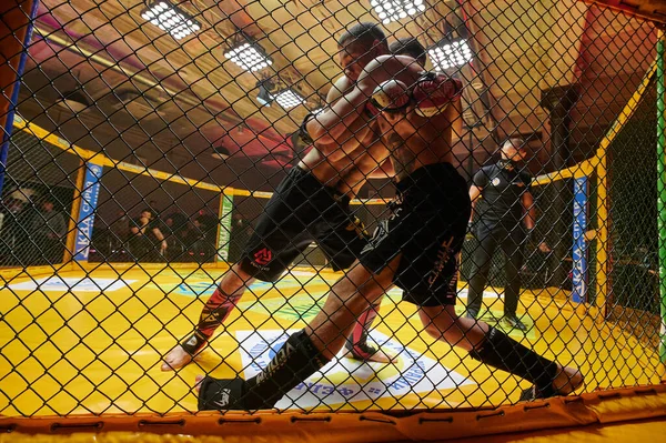 Kharkiv Ukraine November 2020 Mma Strijders Vechten Aan Ring Tijdens — Stockfoto