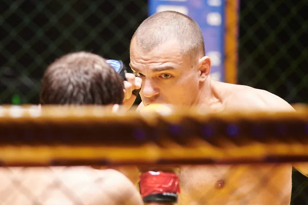 Kharkiv Ukraine Novembro 2020 Lutadores Mma Lutam Ringue Durante Luta — Fotografia de Stock