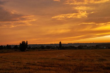 Kırsal alan. Buğday hasadı. Günbatımı sahnesi ya da sonbahar sezonunda sahada gün doğumu. 