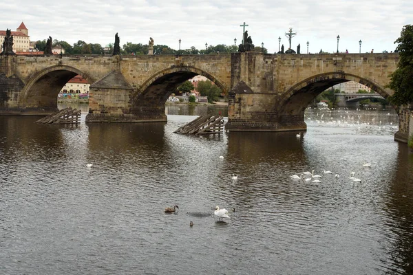 Praga República Checa Septiembre 2015 Río Moldava Praga Vltava Río —  Fotos de Stock