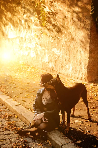 Girl Doberman Beautiful Young Woman Dog Sunset Time Street Female — Stock Photo, Image