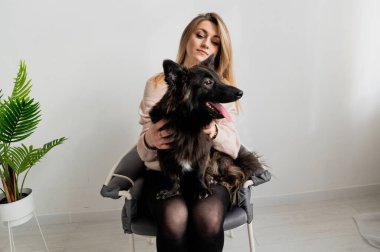 Beyaz odada dinlenen dişi bir evcil hayvan sahibi olan mutlu, genç, güzel, siyah melez bir köpek. 