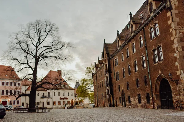 Meissen Németország Nowember 2017 Albrechtsburg Kastély Katedrális Meissen Német Városában — Stock Fotó