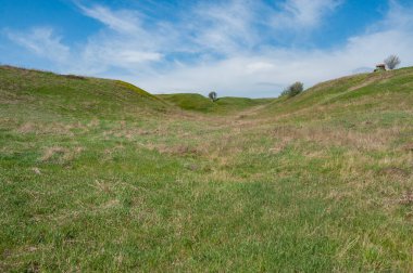 Yeşil tarıma elverişli arazi, tarla sürme ve ekin yetiştirme kapasitesine sahip geçici tarım ekinlerinin altındaki topraktır..