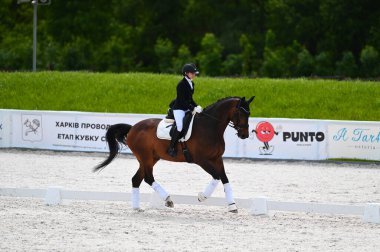 Kharkiv, Ukrayna - 4 Haziran 2021: Fei Dressage Dünya Kupası Kharkiv 2021