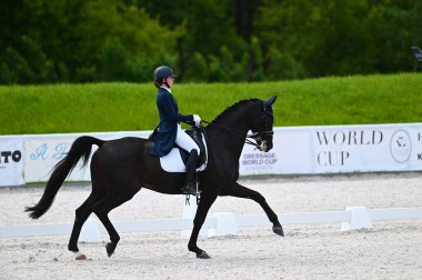 Kharkiv, Ukrayna - 4 Haziran 2021: Fei Dressage Dünya Kupası Kharkiv 2021