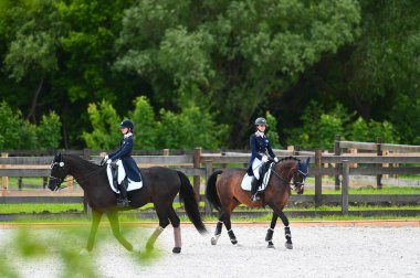 Kharkiv, Ukrayna - 4 Haziran 2021: Fei Dressage Dünya Kupası Kharkiv 2021