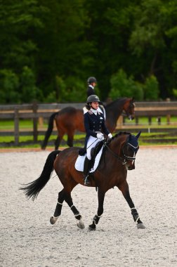 Kharkiv, Ukrayna - 4 Haziran 2021: Fei Dressage Dünya Kupası Kharkiv 2021