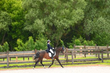 Kharkiv, Ukrayna - 4 Haziran 2021: Fei Dressage Dünya Kupası Kharkiv 2021