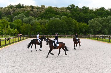 Kharkiv, Ukrayna - 4 Haziran 2021: Fei Dressage Dünya Kupası Kharkiv 2021