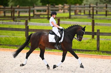 Kharkiv, Ukrayna - 4 Haziran 2021: Fei Dressage Dünya Kupası Kharkiv 2021