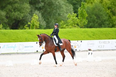 Kharkiv, Ukrayna - 4 Haziran 2021: Fei Dressage Dünya Kupası Kharkiv 2021