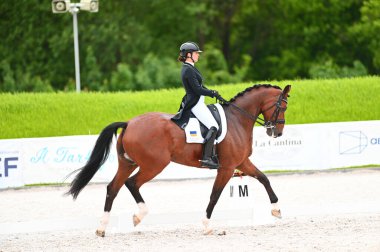 Kharkiv, Ukrayna - 4 Haziran 2021: Fei Dressage Dünya Kupası Kharkiv 2021