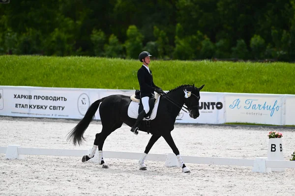 Kharkiv, Ukrayna - 4 Haziran 2021: Fei Dressage Dünya Kupası Kharkiv 2021