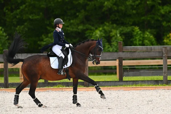 Kharkiv, Ukrayna - 4 Haziran 2021: Fei Dressage Dünya Kupası Kharkiv 2021